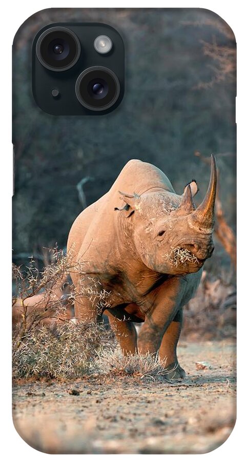 Africa iPhone Case featuring the photograph Black Rhinoceros #3 by Tony Camacho