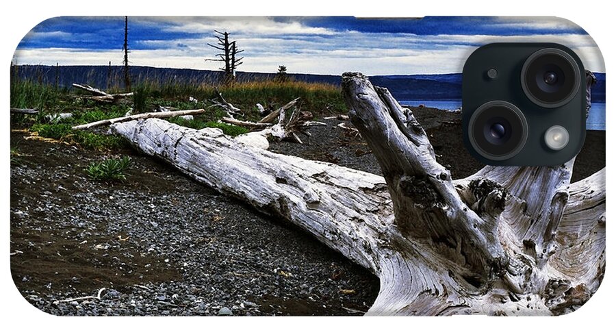 Alaska iPhone Case featuring the photograph Driftwood on Beach #3 by Thomas R Fletcher