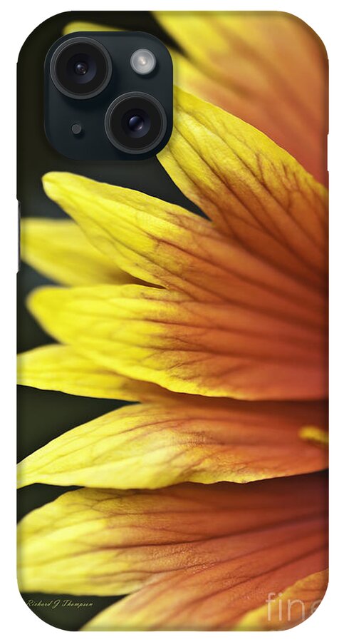 Gaillardia iPhone 15 Case featuring the photograph Gaillardia Flower #3 by Richard J Thompson 