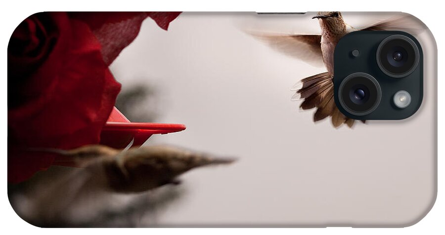 Hummingbirds iPhone Case featuring the photograph Hummingbirds at Feeder #3 by Cindy Singleton