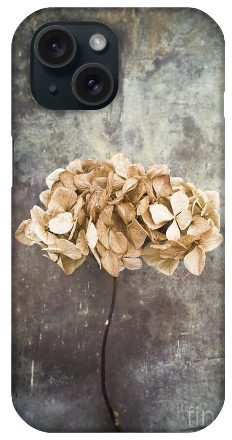 Abstract iPhone Case featuring the photograph Hydrangea #2 by Maria Heyens