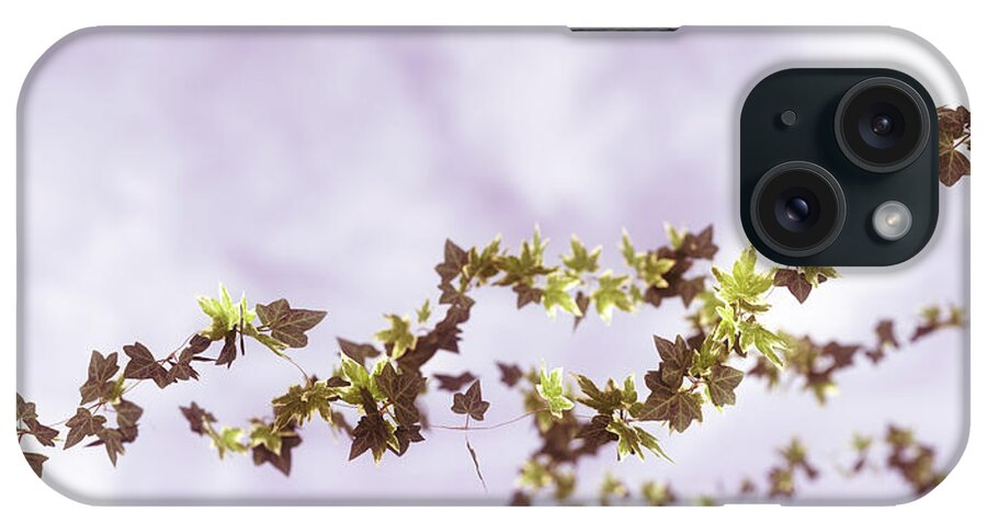 Ivy iPhone Case featuring the digital art Ivy #2 by Matthew Lindley