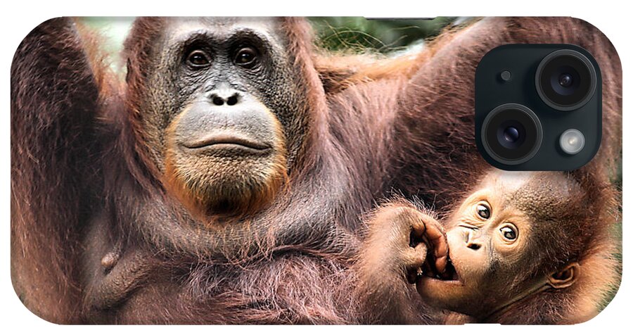 Mother and Baby Orangutan Borneo #2 iPhone Case by Carole-Anne Fooks -  Pixels