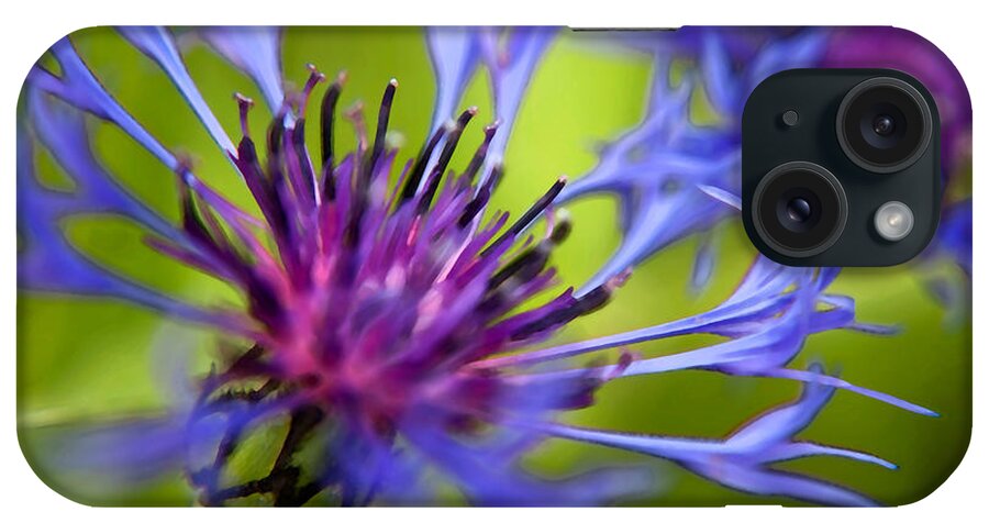 Flower iPhone Case featuring the photograph Mountain Coneflower #3 by Theresa Tahara