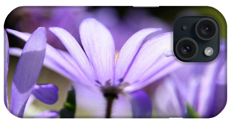 Flower Photography iPhone Case featuring the photograph Purple Light by Neal Eslinger