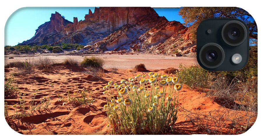 Rainbow Valley Sunrise Outback Landscape Central Australia Water Hole Northern Territory Australian Clay Pan iPhone Case featuring the photograph Rainbow Valley #3 by Bill Robinson