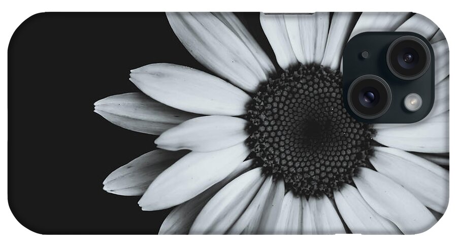 Daisy iPhone Case featuring the photograph Simplicity #3 by Sara Frank