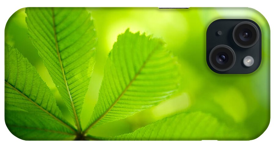 Conker iPhone Case featuring the photograph Spring Green #3 by Nailia Schwarz