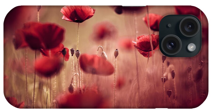 Poppy iPhone Case featuring the photograph Summer Poppy #6 by Nailia Schwarz