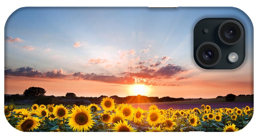 Sunflower iPhone Case featuring the photograph Hope, inspirational sunset of sunflowers and vibrant sky by Matthew Gibson