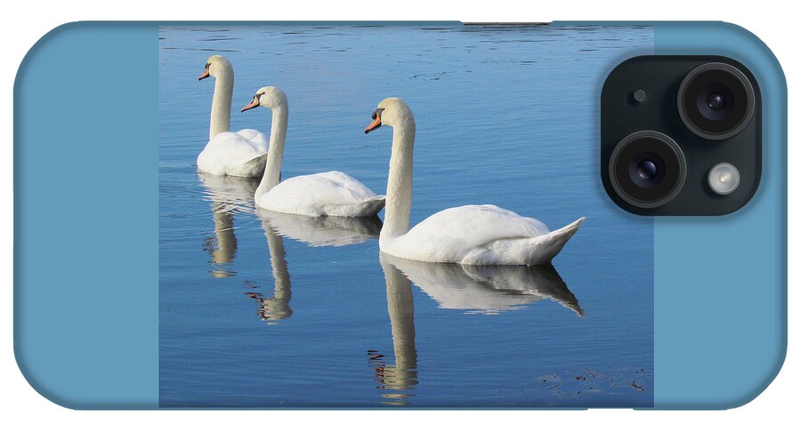Swans iPhone Case featuring the photograph 3 Swans A-Swimming by Lori Lafargue