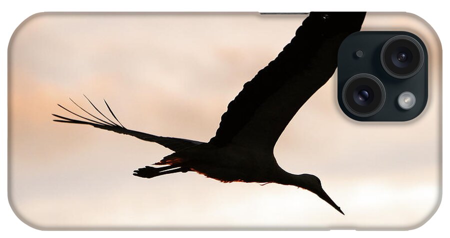 Wildlife iPhone Case featuring the photograph White Stork Ciconia Ciconia #3 by David Santiago Garcia