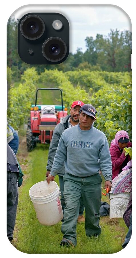 Crop iPhone Case featuring the photograph Wine Grape Harvest #3 by Jim West