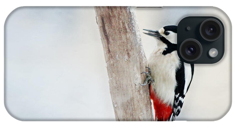 Animal iPhone Case featuring the photograph Woodpecker #3 by Heike Hultsch