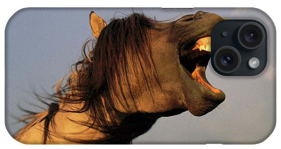 00340138 iPhone Case featuring the photograph Mustang Stallion Yawning by Yva Momatiuk and John Eastcott