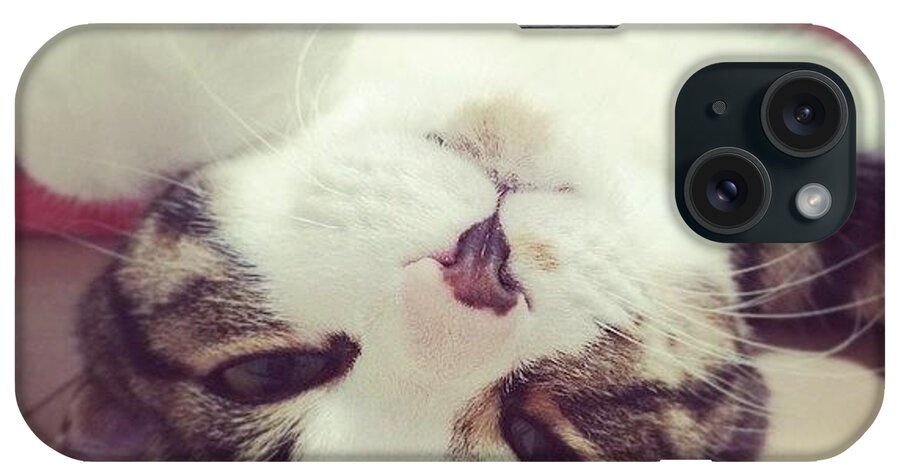 Cute iPhone Case featuring the photograph Instagram Photo #381422684472 by Koushi Sumi