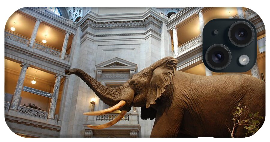 Bull Elephant iPhone Case featuring the photograph Bull Elephant in Natural History Rotunda by Kenny Glover