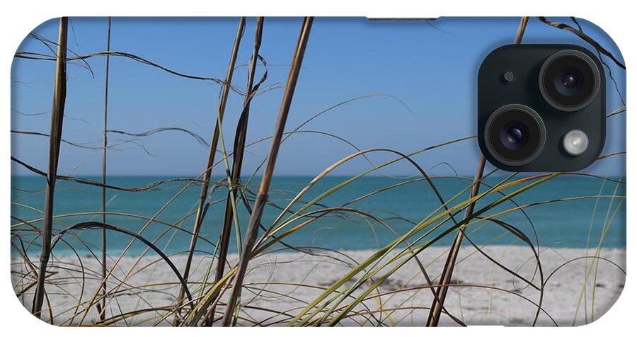 Sanibel iPhone Case featuring the photograph Captiva Beach Grass #4 by Curtis Krusie