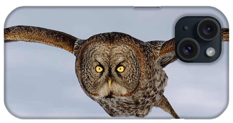 Great Gray Owl iPhone Case featuring the photograph Great Grey Owl by Scott Linstead