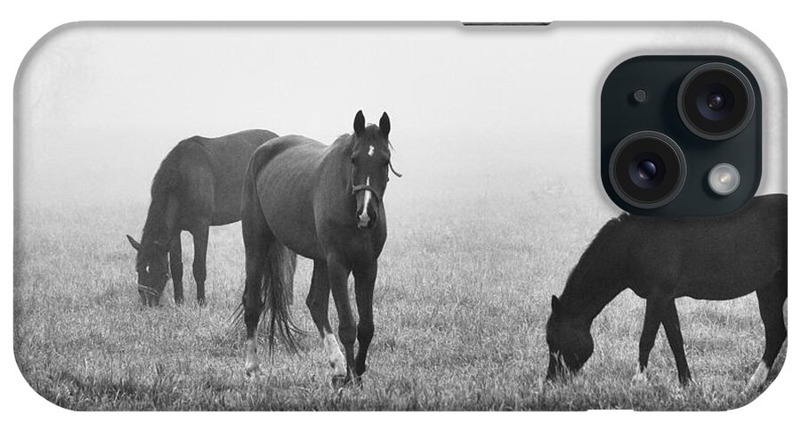 Finland iPhone Case featuring the photograph Horses of the Fall trio bw by Jouko Lehto