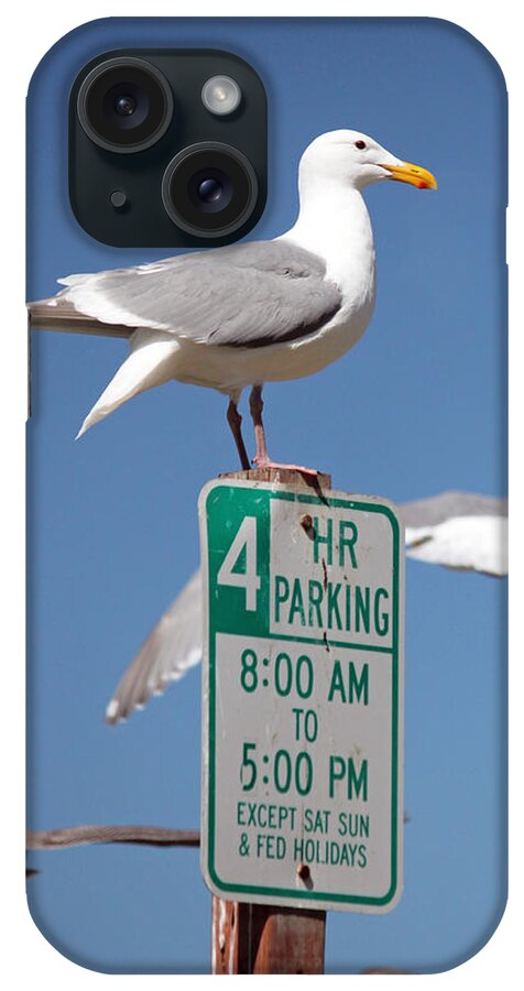 Birds iPhone Case featuring the photograph 4 Hour Parking by E Faithe Lester