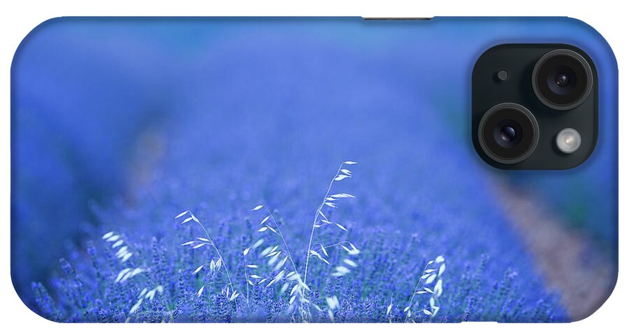 Produccion iPhone Case featuring the photograph Lavender Plantation, Brihuega #4 by David Santiago Garcia