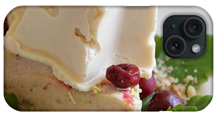Food iPhone Case featuring the photograph Homemade Ice Cream 2 by Marina Peskova