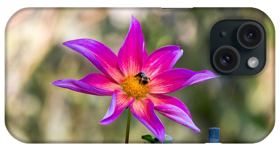 Bee iPhone Case featuring the photograph Pink flower and bee #4 by Susan Jensen