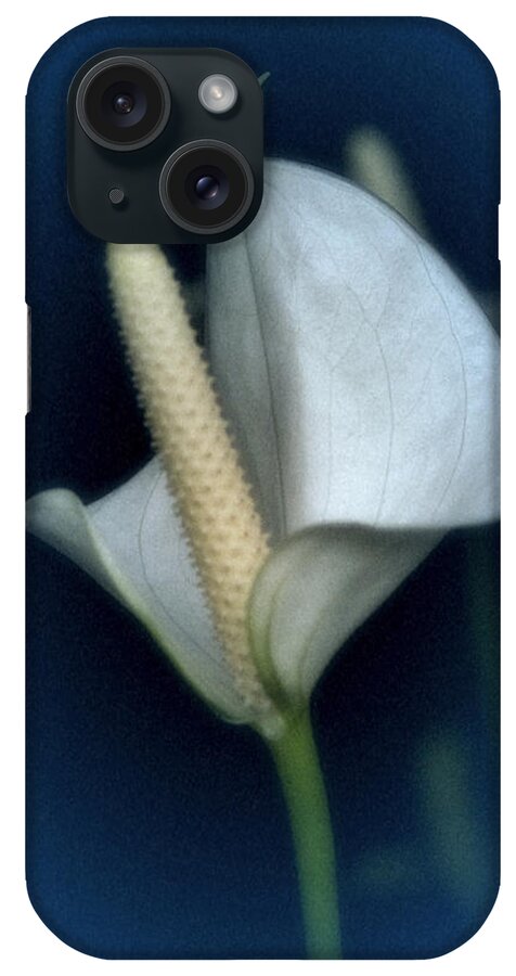 Calla Lily iPhone Case featuring the photograph Vintage Calla #4 by Richard Cummings