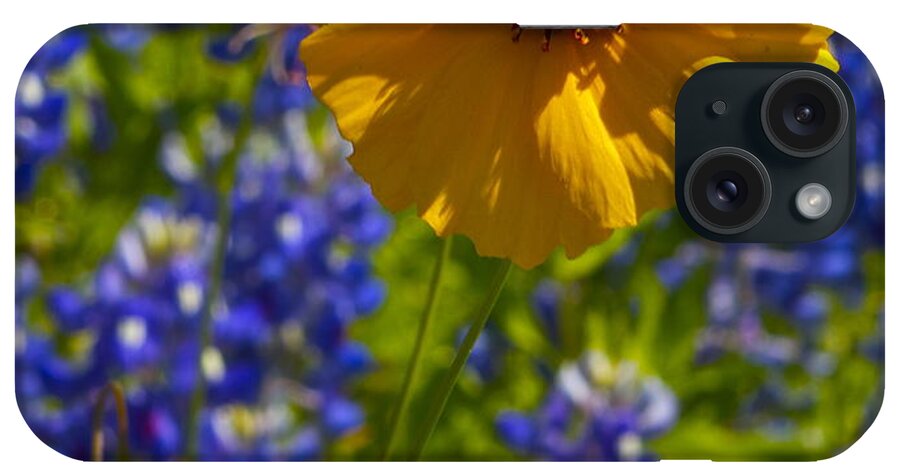 Wildflower iPhone Case featuring the photograph Wildflowers #4 by John Babis