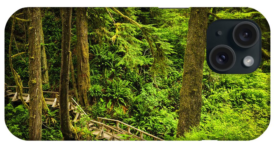 Rainforest iPhone Case featuring the photograph Path in temperate rainforest 4 by Elena Elisseeva