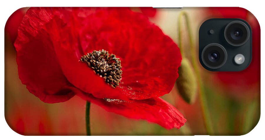 Poppy iPhone Case featuring the photograph Poppy Dream #5 by Nailia Schwarz