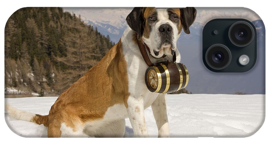 Dog iPhone Case featuring the photograph Saint Bernard #5 by Jean-Michel Labat