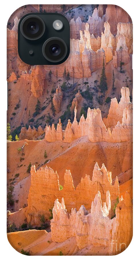 00431147 iPhone Case featuring the photograph Sandstone Hoodoos in Bryce Canyon by Yva Momatiuk John Eastcott