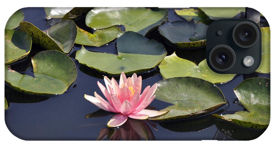 Water Lily iPhone Case featuring the photograph Water Lily #3 by Dottie Branch