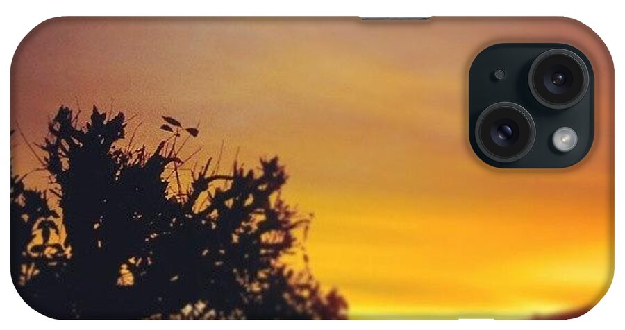 Pink iPhone Case featuring the photograph Instagram Photo #551388289901 by Patii Martinez