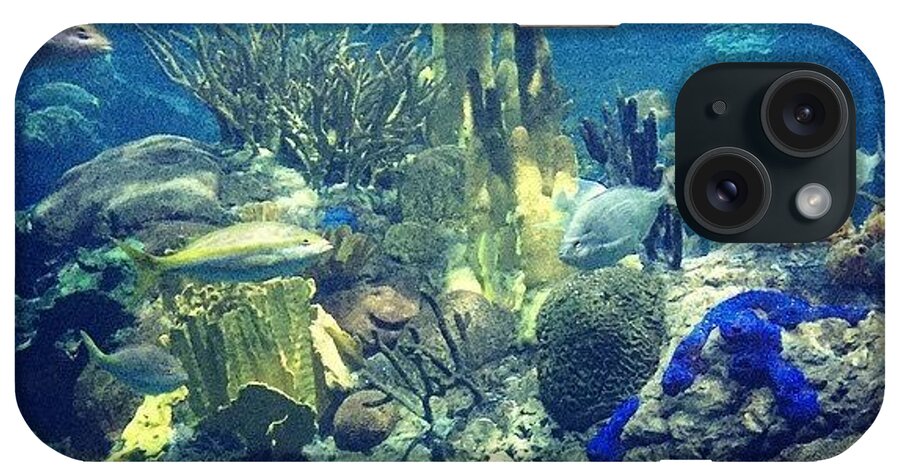 Reef iPhone Case featuring the photograph The Reef by Janessa Rinke