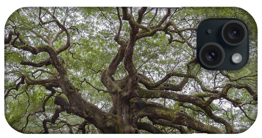 Angel Oak Tree On Johns Island Sc iPhone Case featuring the photograph SC Angel Oak Tree by Dale Powell