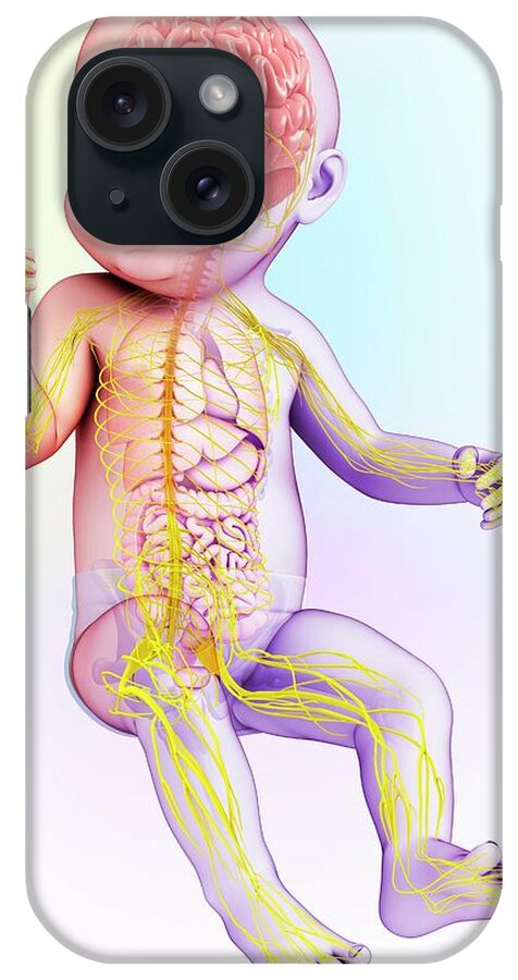 Artwork iPhone Case featuring the photograph Baby's Brain And Nervous System #6 by Pixologicstudio/science Photo Library