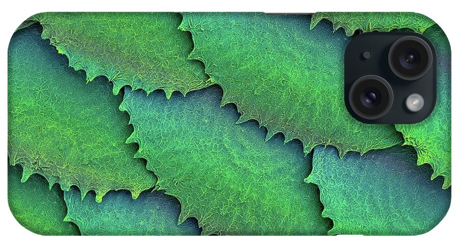25234g iPhone Case featuring the photograph Convict Cichlid Fish Scales #7 by Dennis Kunkel Microscopy/science Photo Library