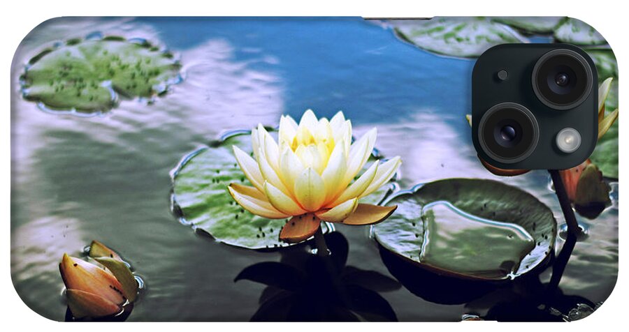 Lily iPhone Case featuring the photograph Lily Pond #1 by Jessica Jenney