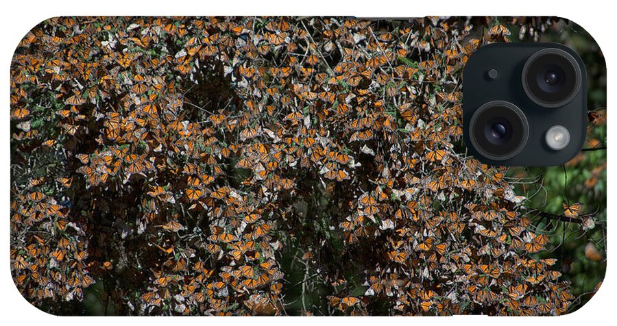 Animals iPhone Case featuring the digital art Monarch Butterflies #7 by Carol Ailles