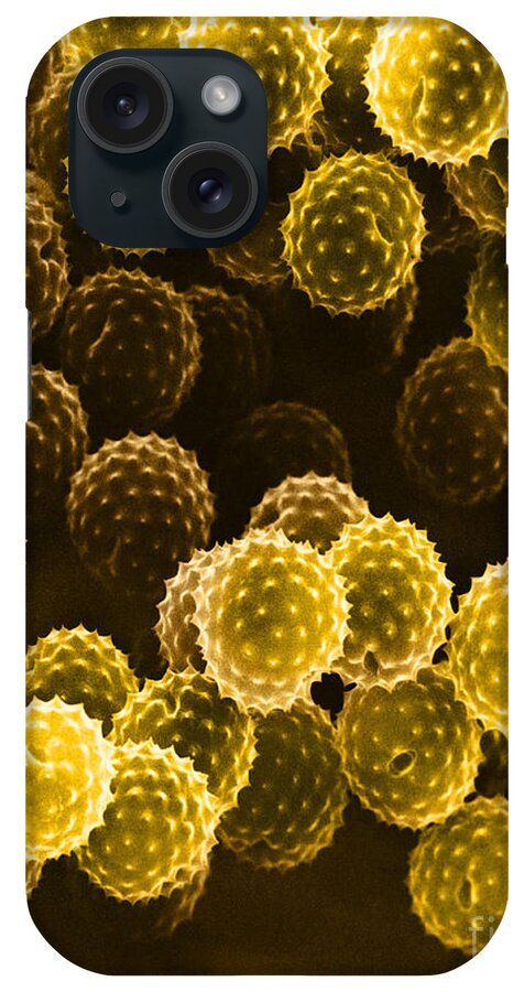 Allergen iPhone Case featuring the photograph Ragweed Pollen Sem #7 by David M. Phillips / The Population Council
