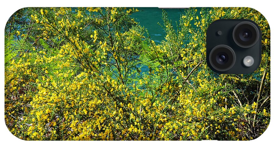 Nightvisions iPhone Case featuring the photograph 724A Yellow Bush by NightVisions