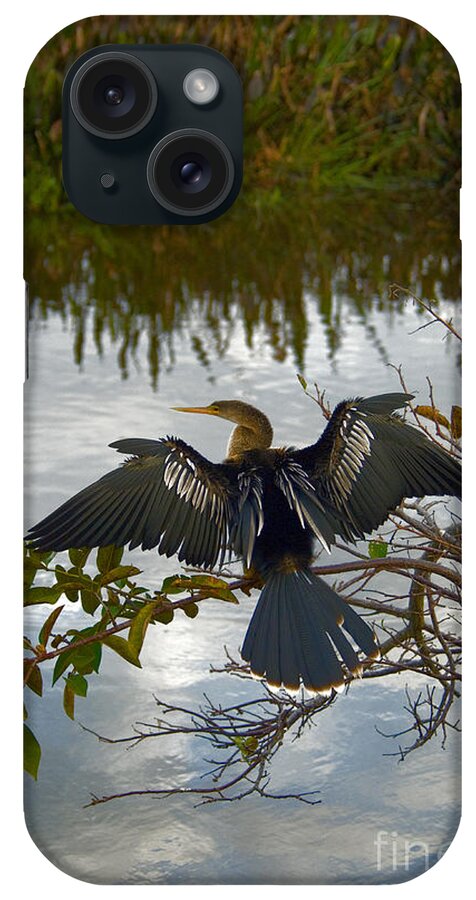 Fauna iPhone Case featuring the photograph Anhinga #8 by Mark Newman