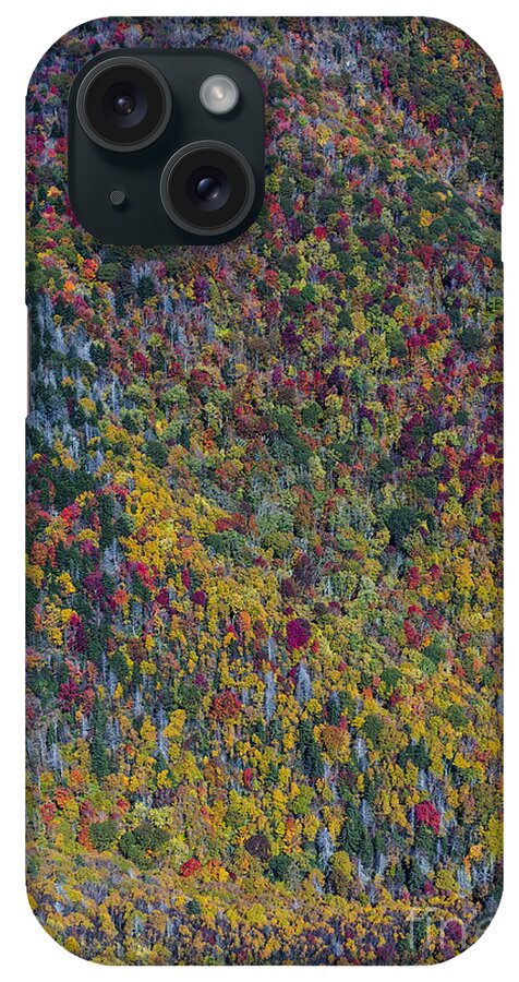 Blue Ridge Parkway iPhone Case featuring the photograph Autumn Colors Along The Blue Ridge Parkway in Western North Carolina #8 by David Oppenheimer