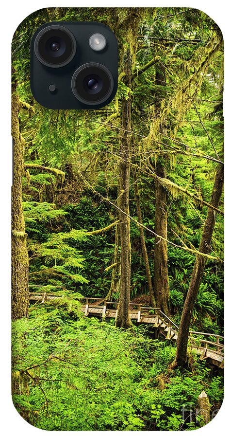 Rainforest iPhone Case featuring the photograph Path in temperate rainforest 7 by Elena Elisseeva
