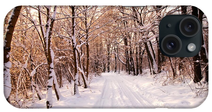 Snow iPhone Case featuring the photograph Winter white forest #8 by Michal Bednarek