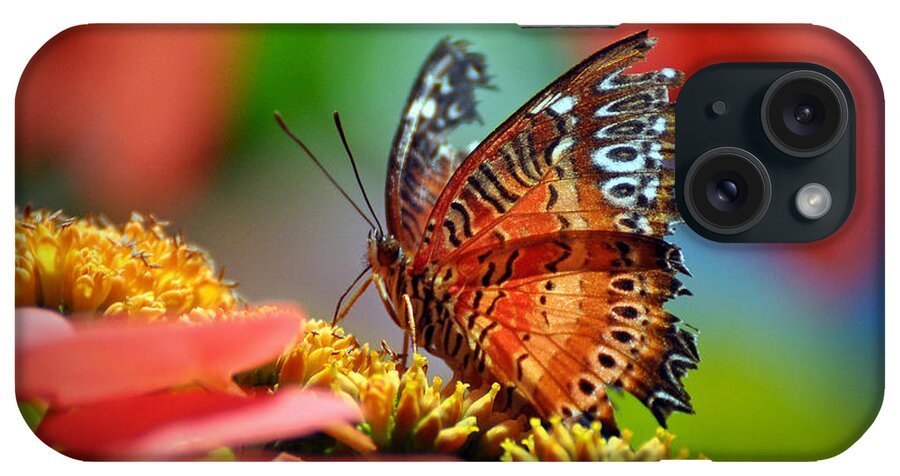 Butterfly iPhone Case featuring the photograph Butterfly #11 by Savannah Gibbs
