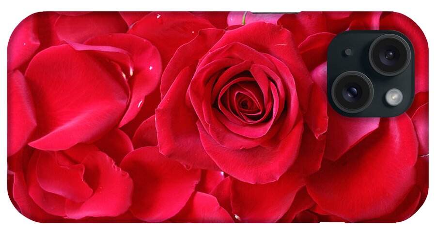 Background iPhone Case featuring the photograph Roses #9 by Peter Lakomy
